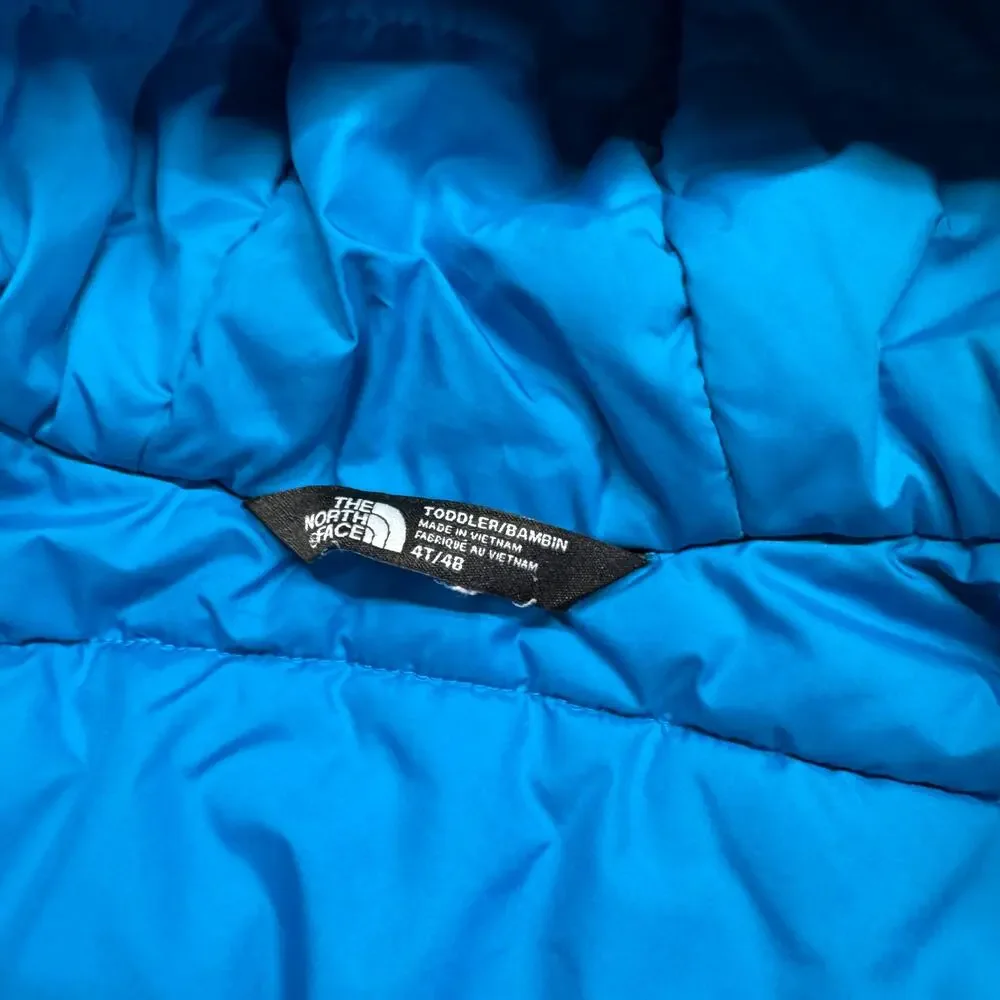 The North Face Dryvent Boys 4T Insulated Full-Zip Hooded Jacket Waterproof Ski